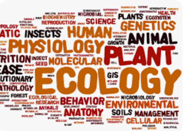 IGCSE OL: Biology (Cambridge)